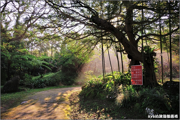 【桃園 景點】桃源仙谷 | 百花齊放之鬱金香海