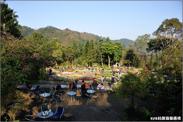 【桃園 景點】桃源仙谷 | 百花齊放之鬱金香海