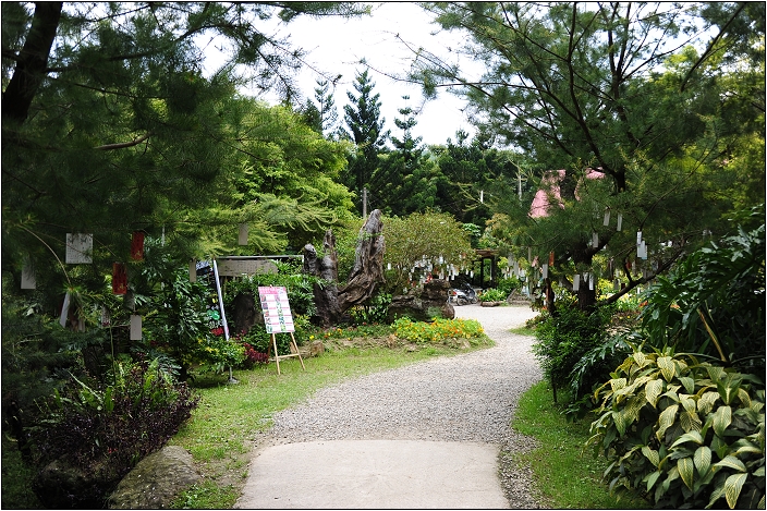 【桃園 景點】桃源仙谷 | 百花齊放之鬱金香海