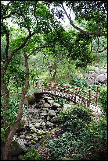 【桃園 景點】桃源仙谷 | 百花齊放之鬱金香海