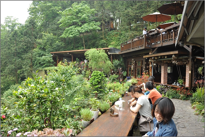 【苗栗南庄 景觀餐廳】 山行玫瑰