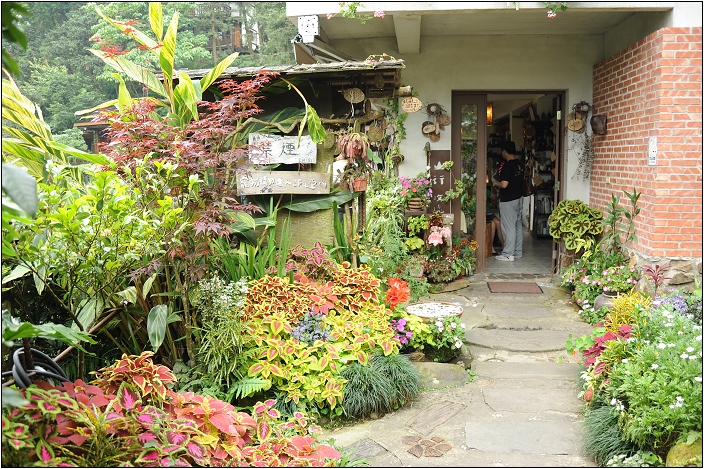 【苗栗南庄 景觀餐廳】 山行玫瑰
