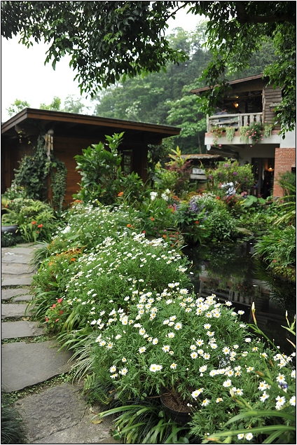 【苗栗南庄 景觀餐廳】 山行玫瑰