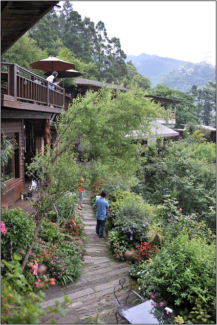 【苗栗南庄 景觀餐廳】 山行玫瑰