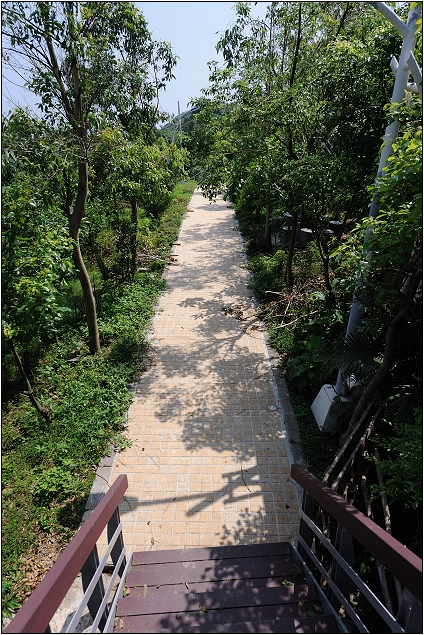 【苗栗 景點】崎頂子母隧道 | 斑駁的雙軌鐵道 (老衢觀海、北戶聚落)