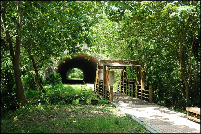 【苗栗 景點】崎頂子母隧道 | 斑駁的雙軌鐵道 (老衢觀海、北戶聚落)