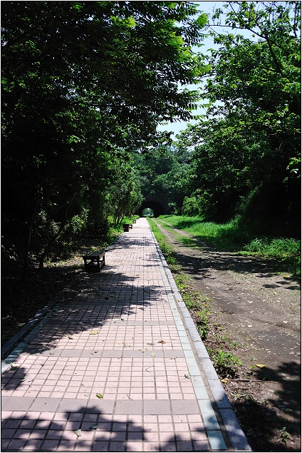 【苗栗 景點】崎頂子母隧道 | 斑駁的雙軌鐵道 (老衢觀海、北戶聚落)