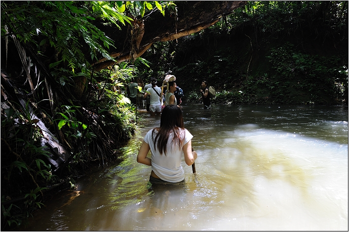 【帛琉】安得貌大瀑布（Ngardmau Waterfall） 與 迪翁格拉迪溪溯溪（Nqertebechel River）