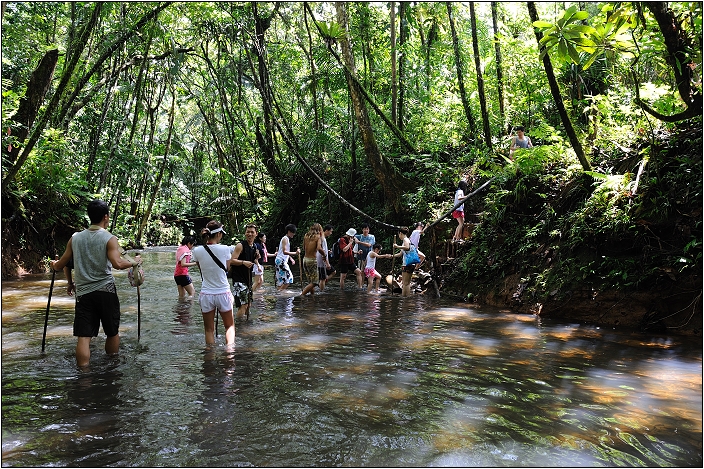 【帛琉】安得貌大瀑布（Ngardmau Waterfall） 與 迪翁格拉迪溪溯溪（Nqertebechel River）
