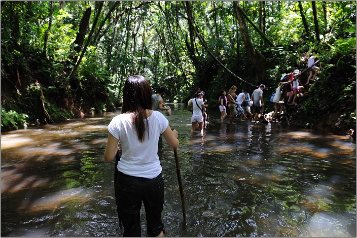 【帛琉】安得貌大瀑布（Ngardmau Waterfall） 與 迪翁格拉迪溪溯溪（Nqertebechel River）