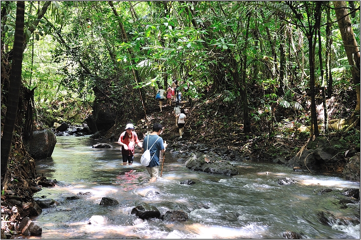 【帛琉】安得貌大瀑布（Ngardmau Waterfall） 與 迪翁格拉迪溪溯溪（Nqertebechel River）