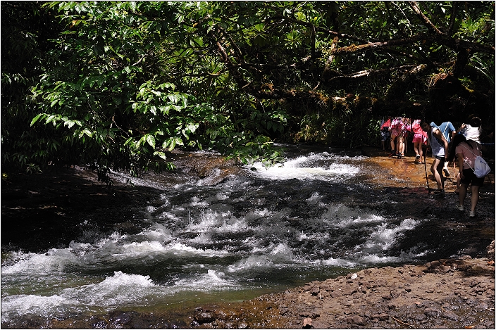 【帛琉】安得貌大瀑布（Ngardmau Waterfall） 與 迪翁格拉迪溪溯溪（Nqertebechel River）