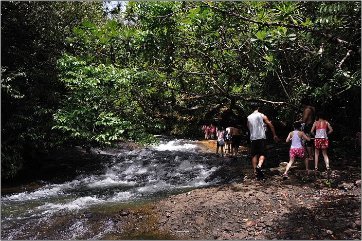 【帛琉】安得貌大瀑布（Ngardmau Waterfall） 與 迪翁格拉迪溪溯溪（Nqertebechel River）