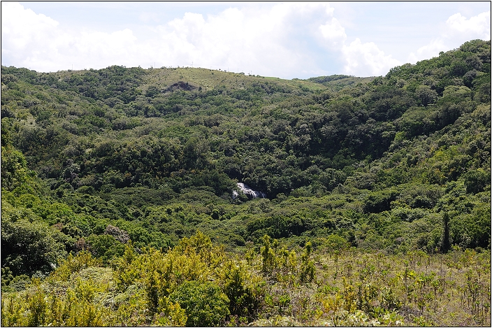 【帛琉】安得貌大瀑布（Ngardmau Waterfall） 與 迪翁格拉迪溪溯溪（Nqertebechel River）