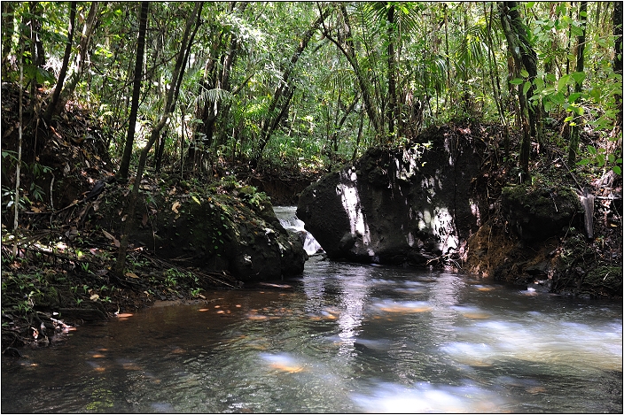 【帛琉】安得貌大瀑布（Ngardmau Waterfall） 與 迪翁格拉迪溪溯溪（Nqertebechel River）