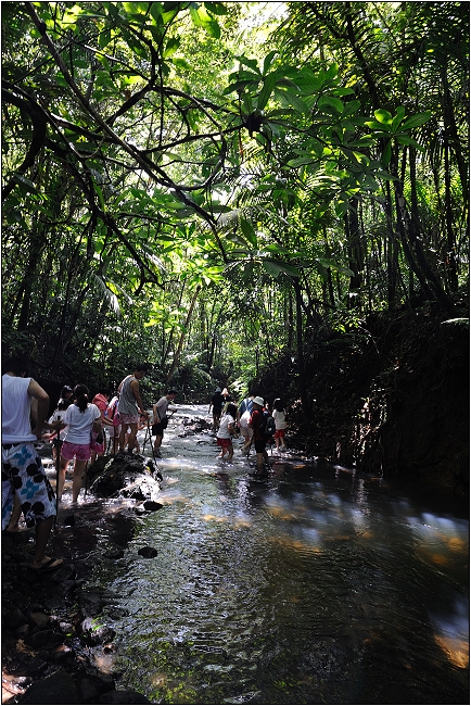 【帛琉】安得貌大瀑布（Ngardmau Waterfall） 與 迪翁格拉迪溪溯溪（Nqertebechel River）