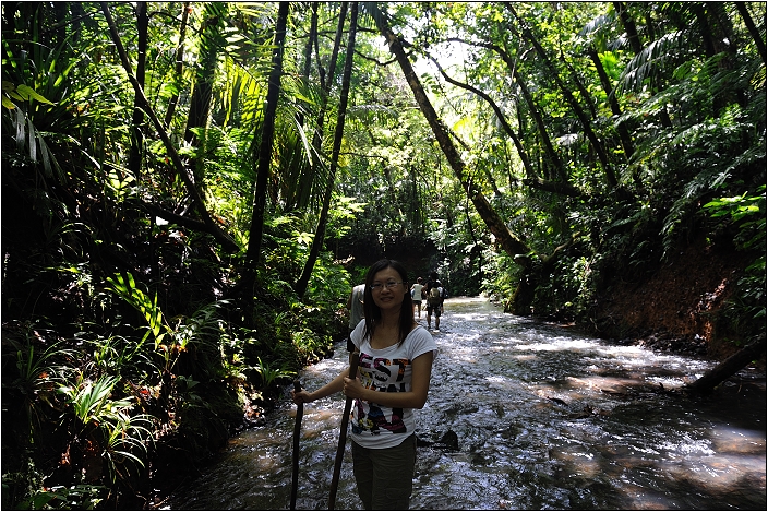 【帛琉】安得貌大瀑布（Ngardmau Waterfall） 與 迪翁格拉迪溪溯溪（Nqertebechel River）