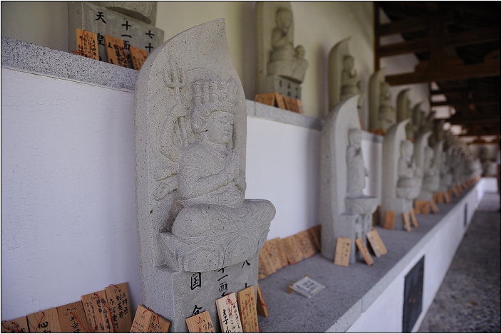 【花蓮 景點】吉安慶修院 | 濃濃江戶風