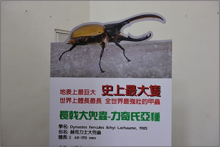 【集集 景點】台灣特有生物研究保育中心
