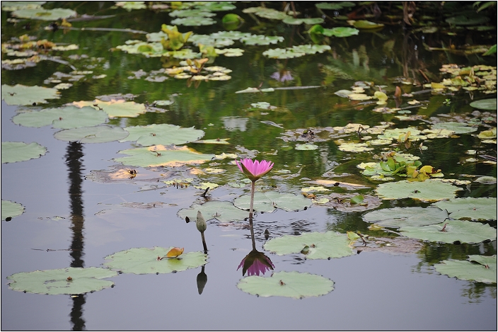 2010台北國際花卉博覽會。新生公園區 - 夢想館