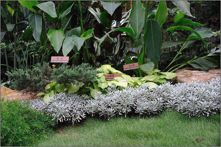 2010台北國際花卉博覽會。新生公園區 - 未來館