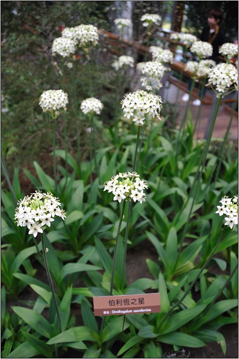 2010台北國際花卉博覽會。新生公園區 - 未來館