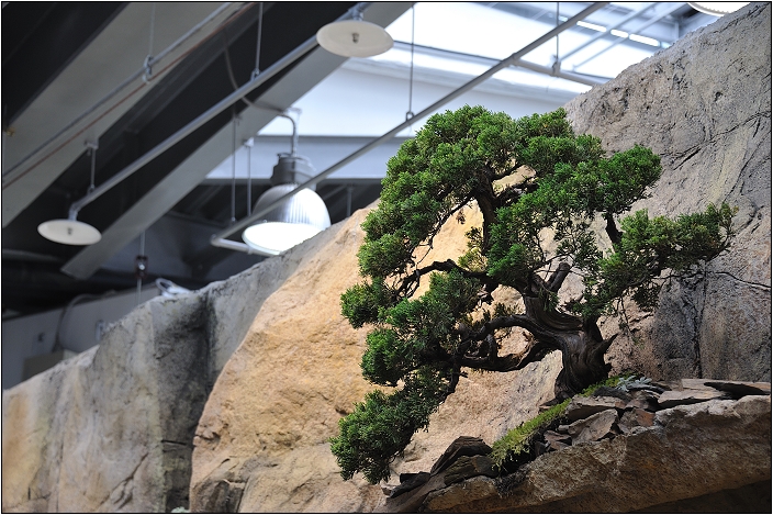 2010台北國際花卉博覽會。新生公園區 - 未來館
