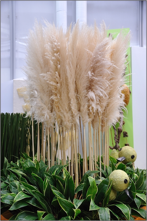 2010台北國際花卉博覽會。新生公園區 - 未來館