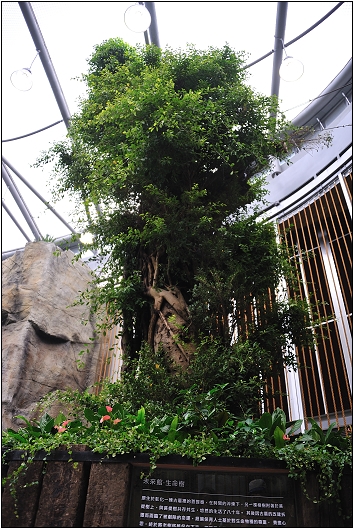 2010台北國際花卉博覽會。新生公園區 - 未來館