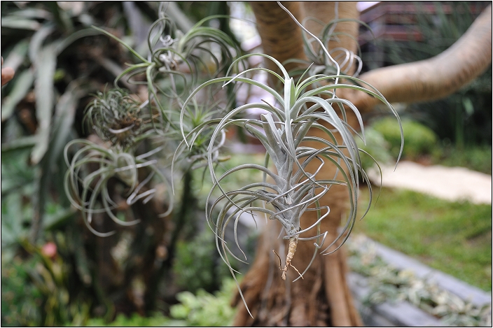 2010台北國際花卉博覽會。新生公園區 - 未來館