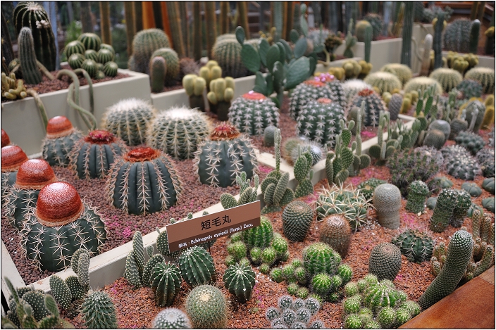 2010台北國際花卉博覽會。新生公園區 - 未來館