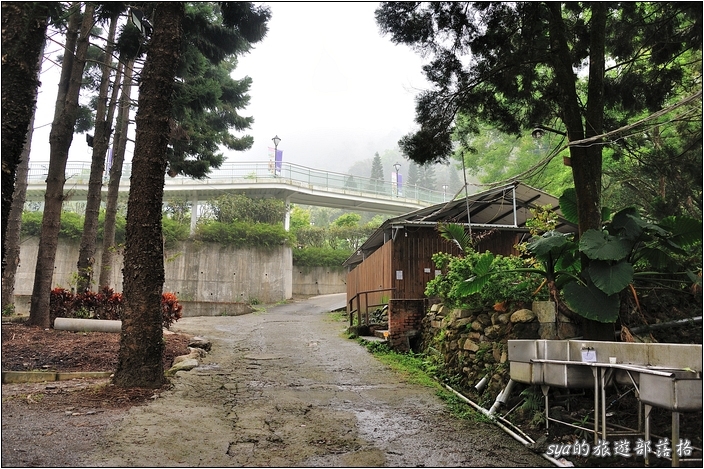 【日月潭 露營】磐石營地 | 湖畔的悠閒 (現改為山姆雷克營地)
