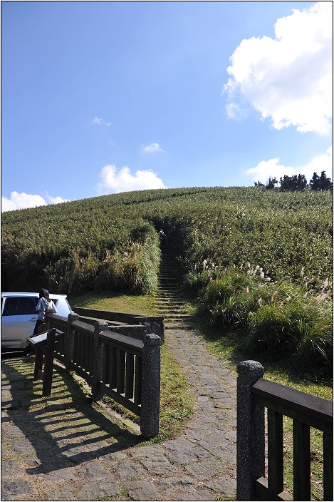 【台北 景點】小油坑。陽明山