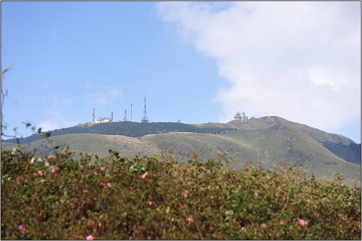 【台北 景點】小油坑。陽明山