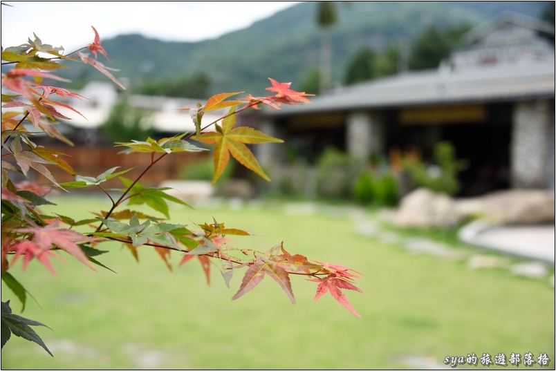 【南投】清流部落（互助村、川中島） | 賽德克的重生
