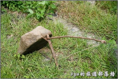 【南投 景點】仁愛鄉 中原部落 | 賽德克傳統文化體驗