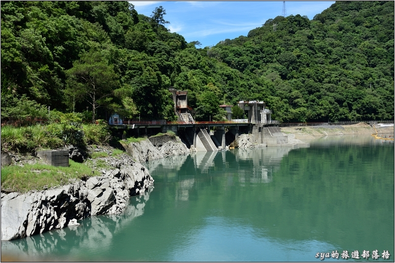 【南投 私房賞櫻景點】萬大生態電廠 | 春櫻、夏蝶、秋楓、冬梅