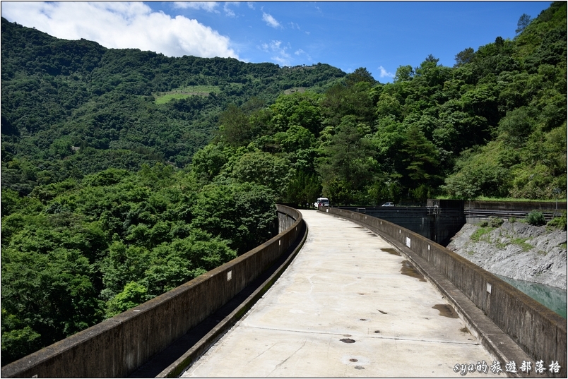 【南投 私房賞櫻景點】萬大生態電廠 | 春櫻、夏蝶、秋楓、冬梅