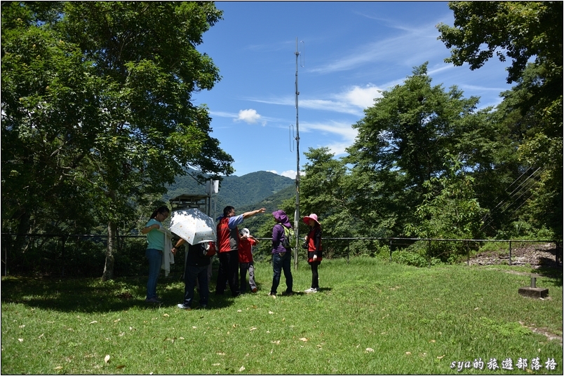 【南投 私房賞櫻景點】萬大生態電廠 | 春櫻、夏蝶、秋楓、冬梅