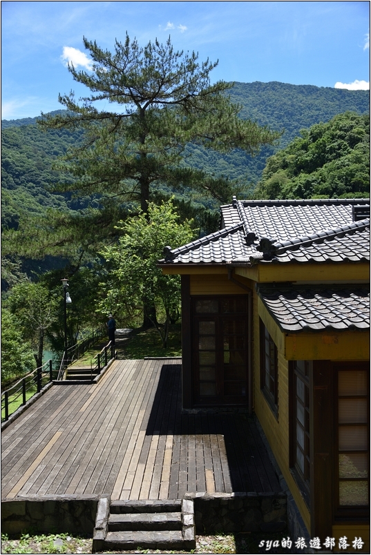 【南投 私房賞櫻景點】萬大生態電廠 | 春櫻、夏蝶、秋楓、冬梅