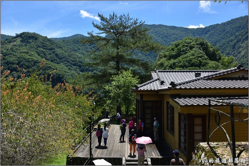 【南投 私房賞櫻景點】萬大生態電廠 | 春櫻、夏蝶、秋楓、冬梅
