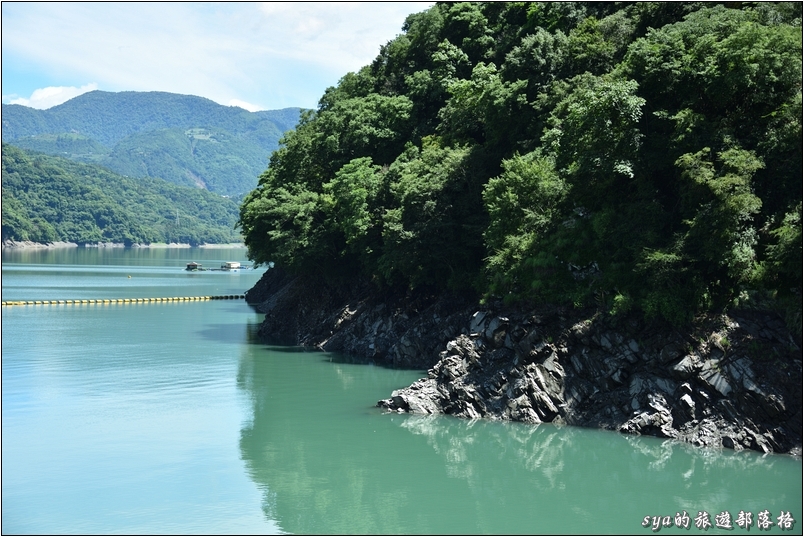 【南投 私房賞櫻景點】萬大生態電廠 | 春櫻、夏蝶、秋楓、冬梅