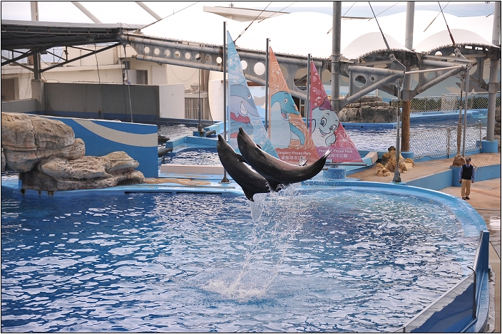 【花蓮 景點】遠雄海洋公園