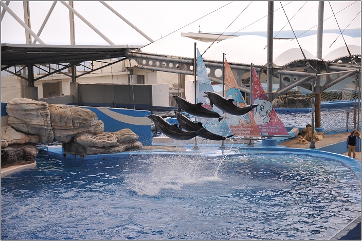 【花蓮 景點】遠雄海洋公園