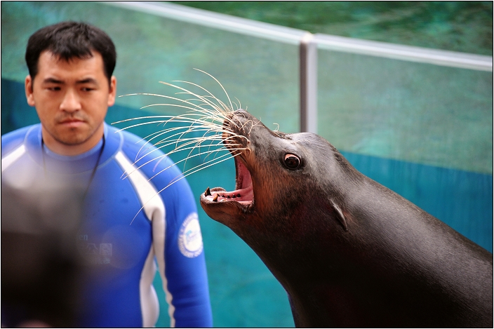 【花蓮 景點】遠雄海洋公園