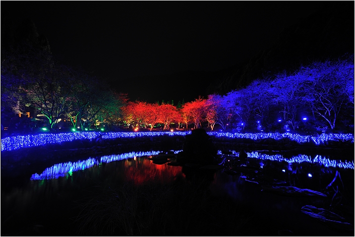 【南投 景點】九族文化村「夜櫻」 | 翻落的水彩盤