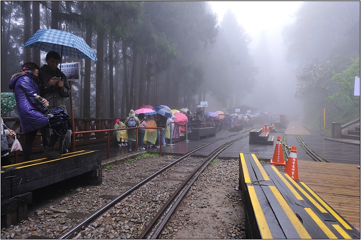 阿里山 | 日出、雲海、鐵路、森林、晚霞 (下)
