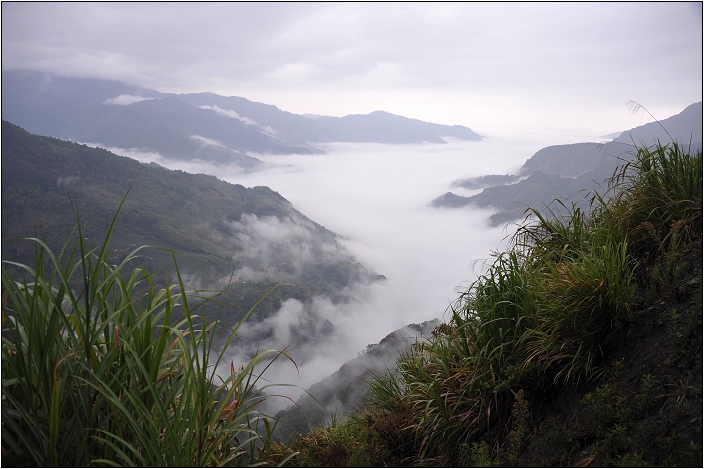 阿里山 | 日出、雲海、鐵路、森林、晚霞 (上)