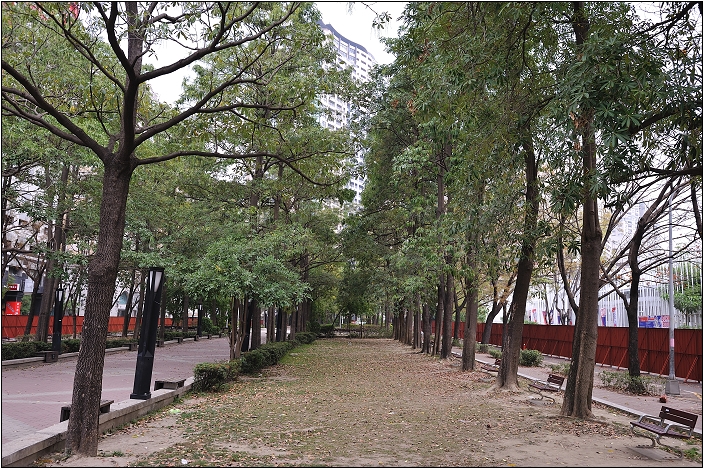 【台中 景點】經國綠園道 / 經國園道 / 草悟道
