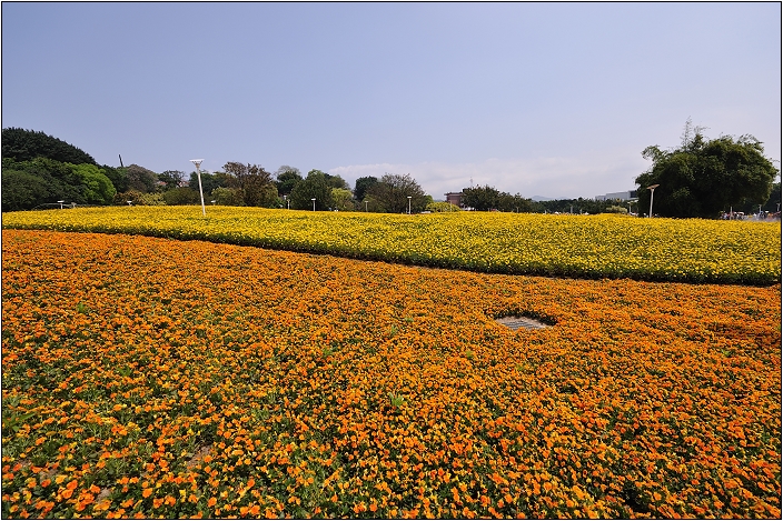 2010台北國際花卉博覽會。圓山公園區